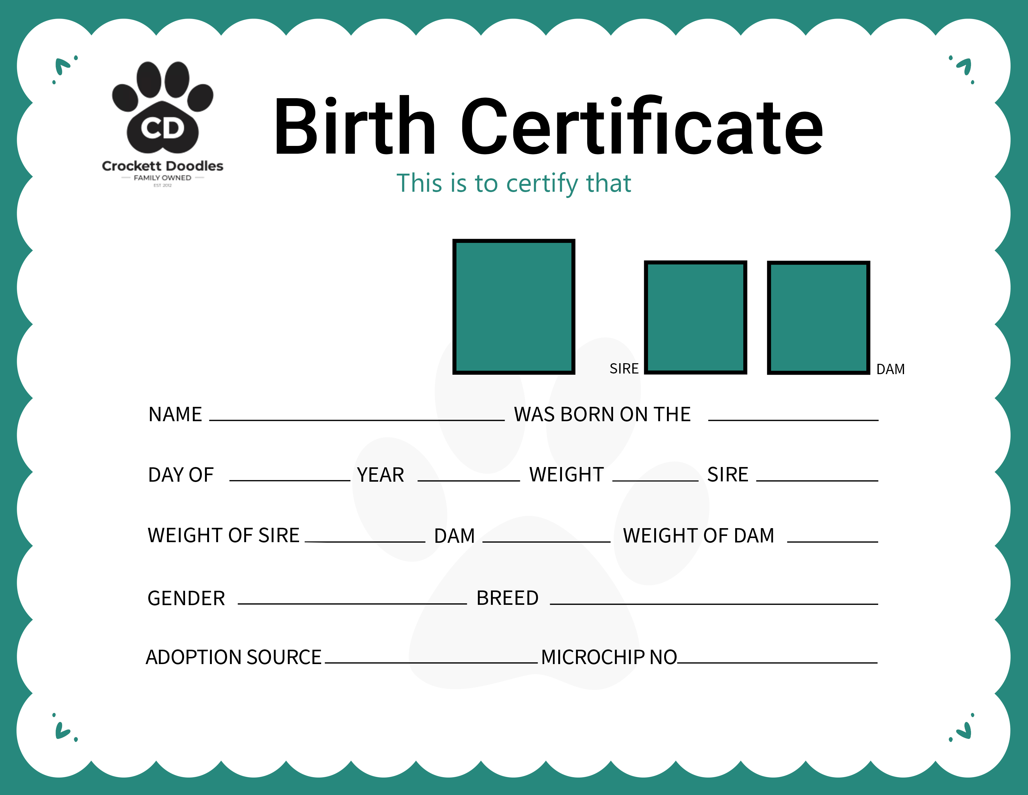 Dog Identification Tags