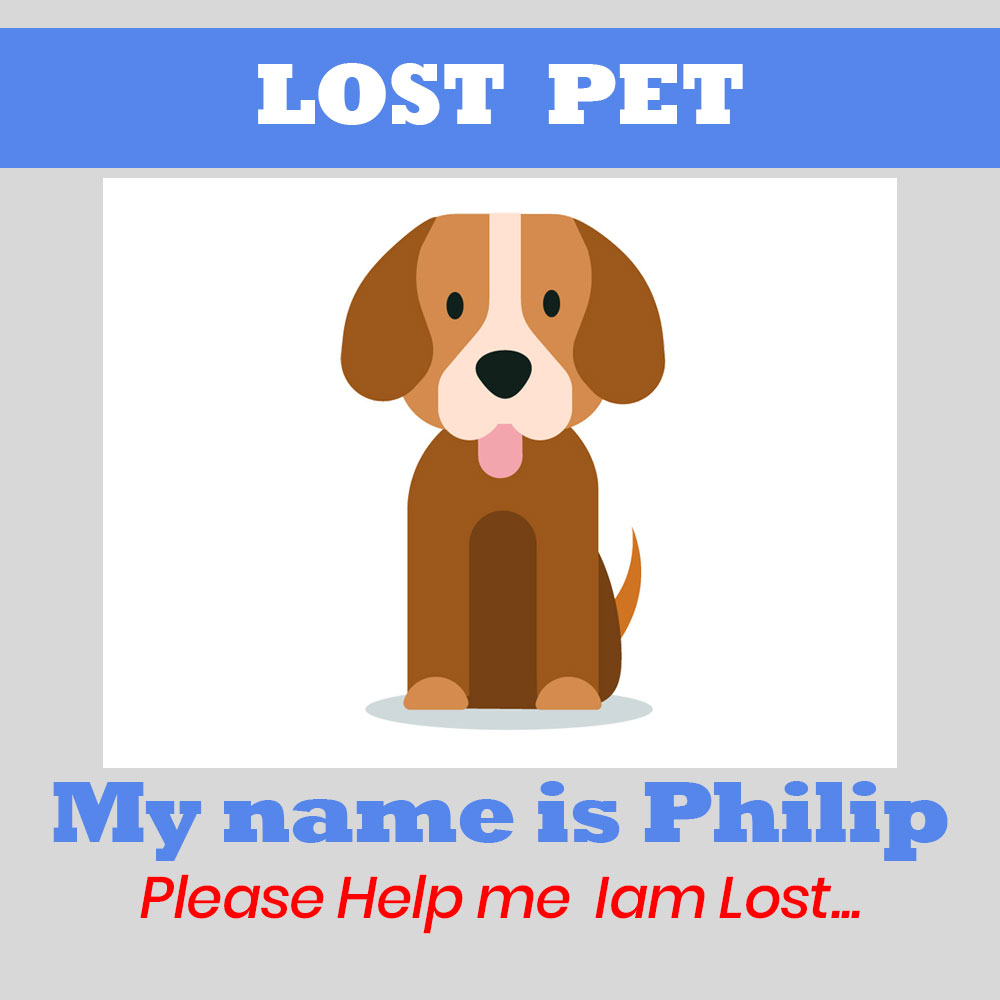 Lost Dog Tracking Service